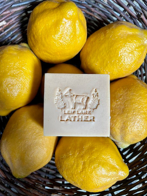 Lemon Bar 5oz Limited